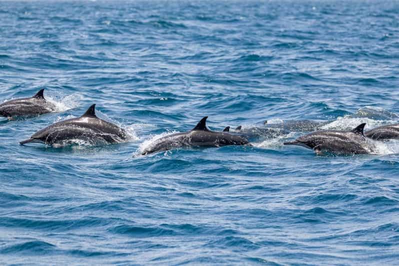 Costa Del Sol Lägenhet Benalmádena Exteriör bild